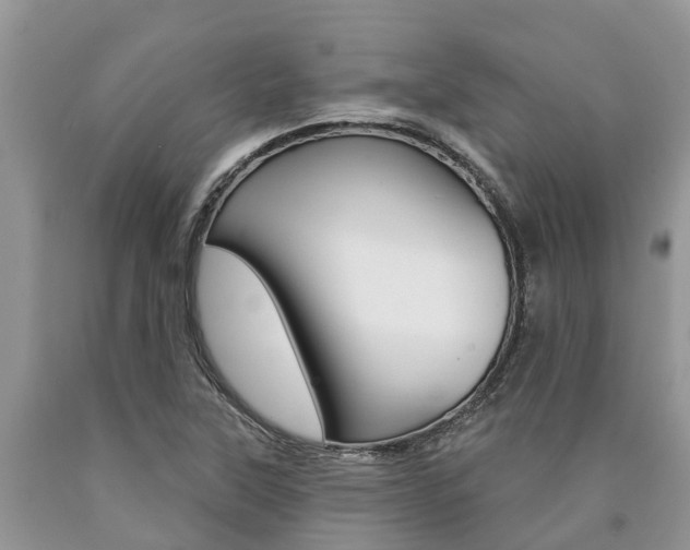 X0000090711315200707200942