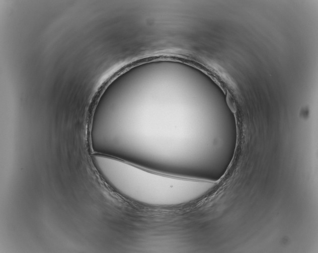 X0000090711316200707200942