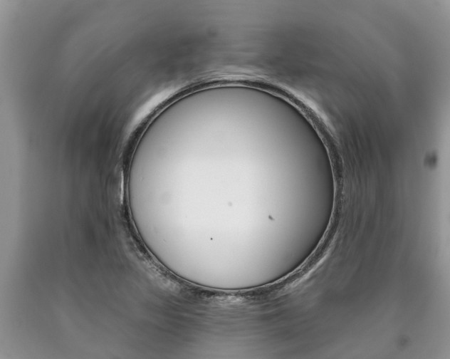 X0000090711317200707200942