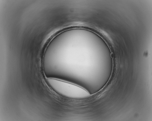X0000090711318200707200942