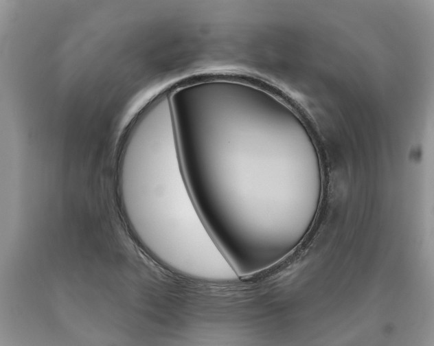 X0000090711319200707200942