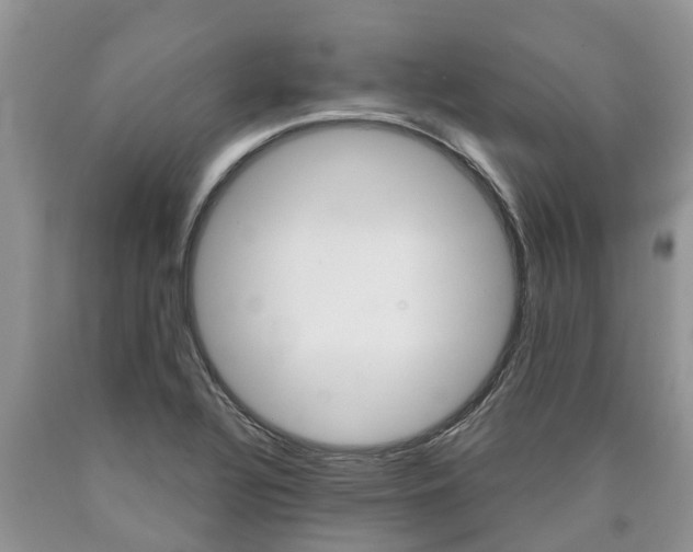 X0000090711320200707200942