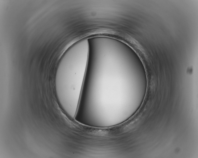 X0000090711321200707200942