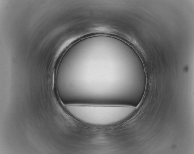 X0000090711323200707200942