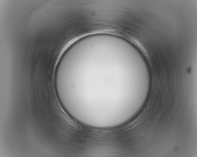 X0000090711324200707200943