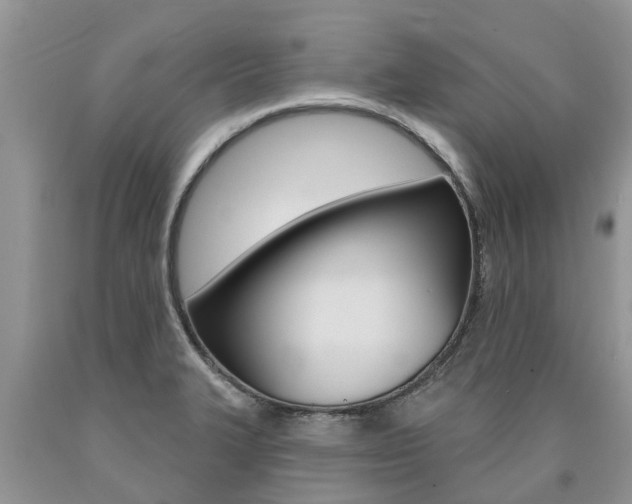 X0000090711327200707200943