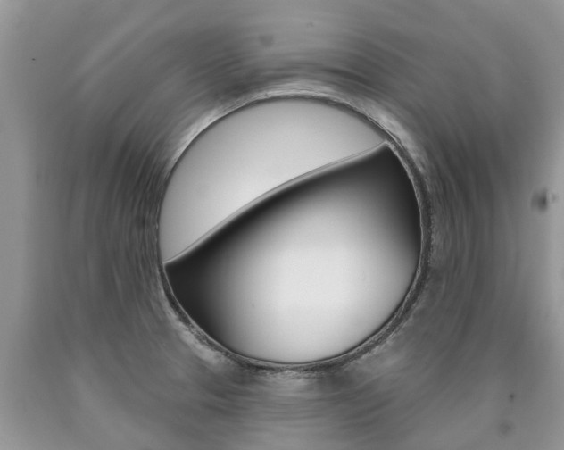 X0000090711329200707200943