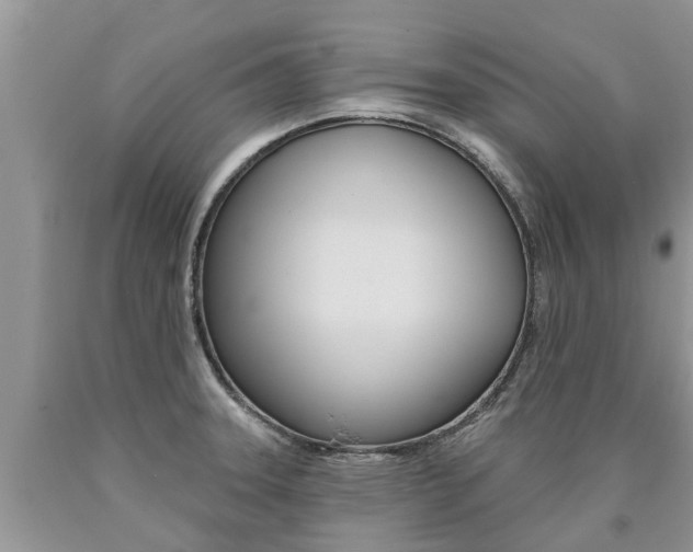 X0000090711331200707200943