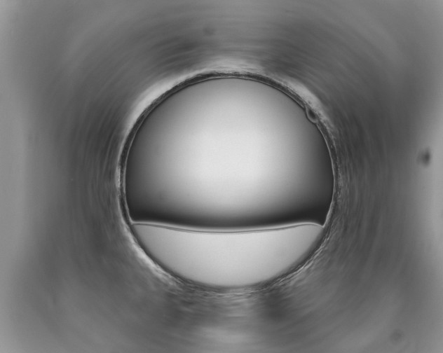 X0000090711335200707200943