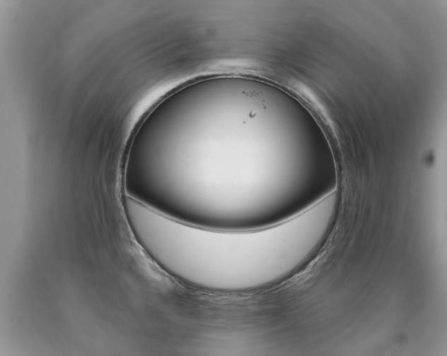 X0000090711336200707200943