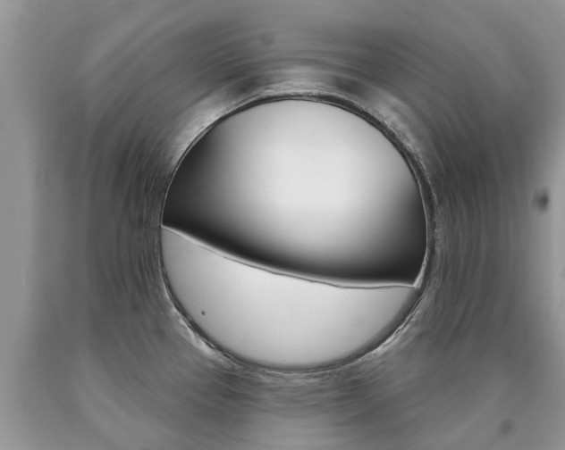 X0000090711337200707200943