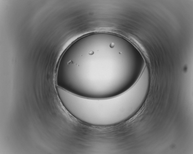 X0000090711340200707200943