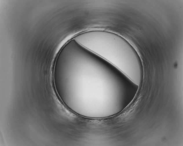 X0000090711341200707200943