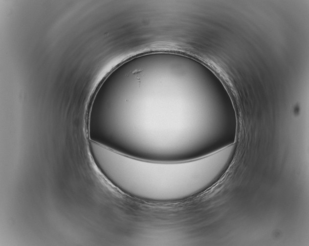 X0000090711342200707200943