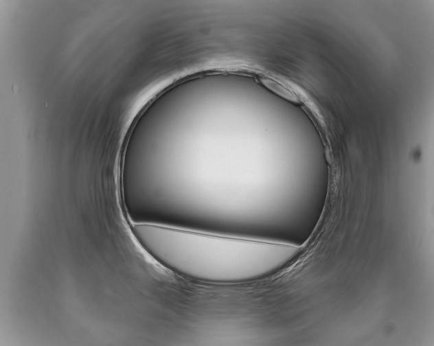 X0000090711343200707200943