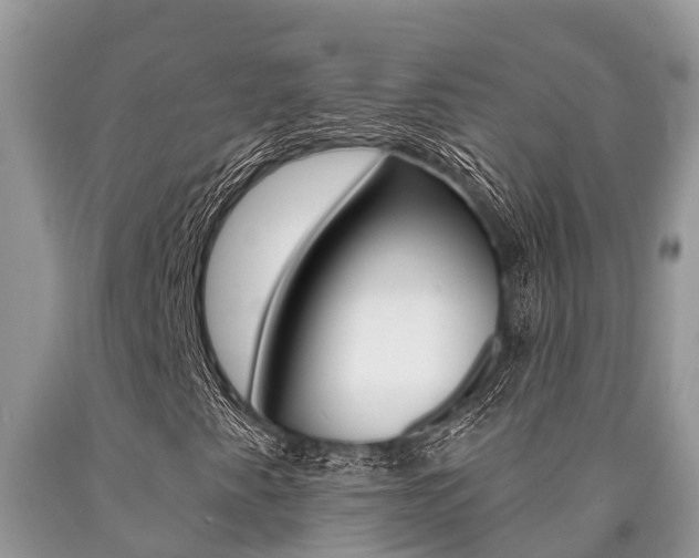 X0000090711345200707200942