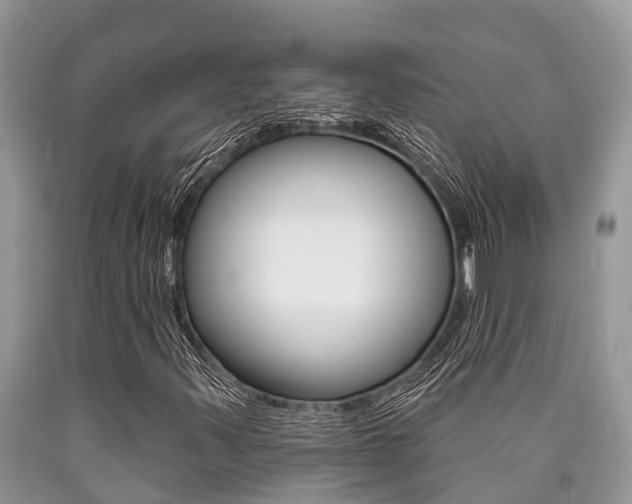 X0000090711347200707200942