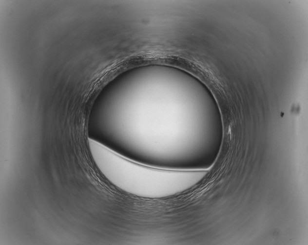 X0000090711348200707200942