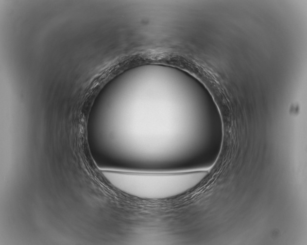 X0000090711349200707200942