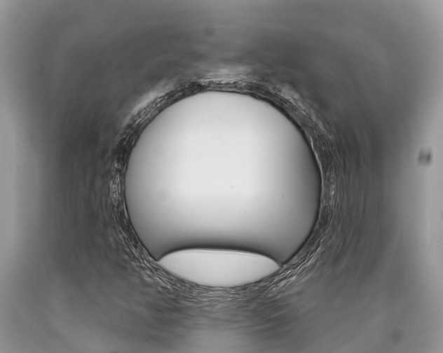 X0000090711350200707200942