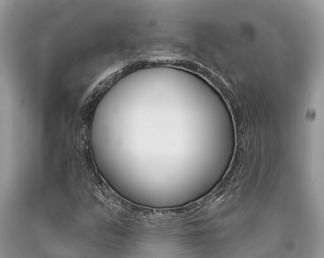 X0000090711351200707200942