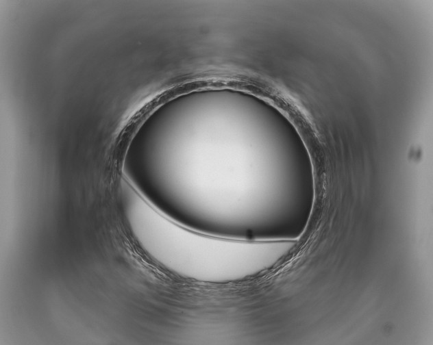 X0000090711352200707200942