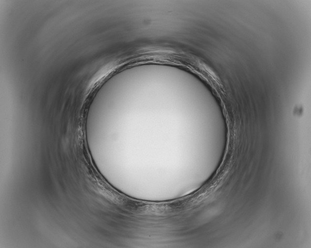 X0000090711354200707200942