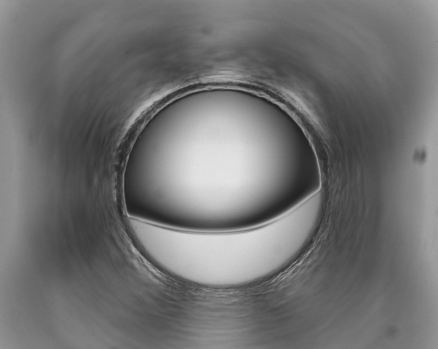 X0000090711356200707200942
