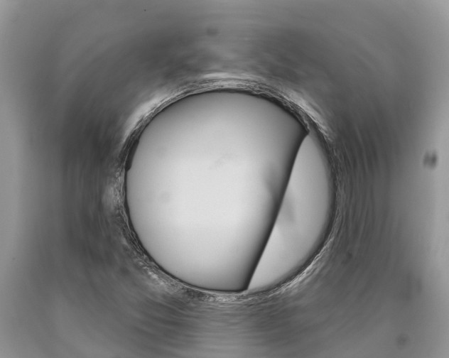 X0000090711357200707200942
