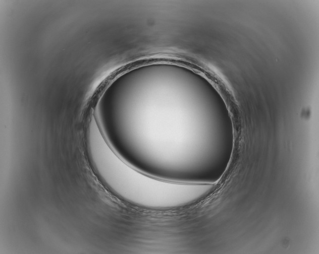 X0000090711360200707200942