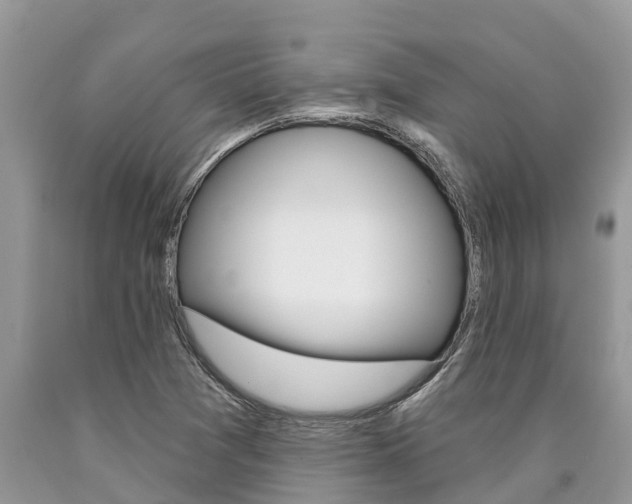 X0000090711361200707200942