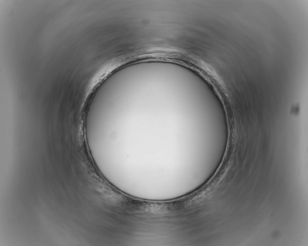 X0000090711362200707200942