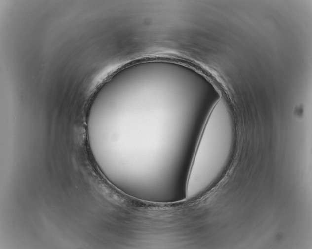 X0000090711363200707200942