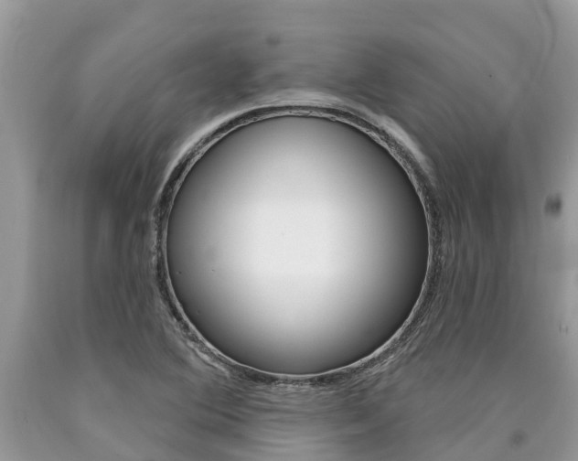 X0000090711364200707200942