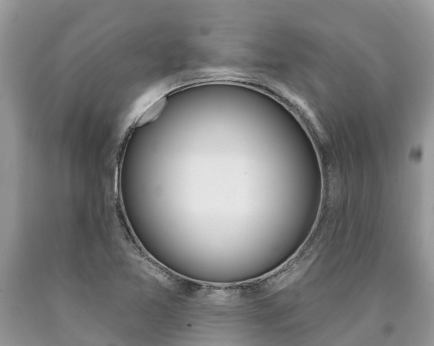 X0000090711365200707200942