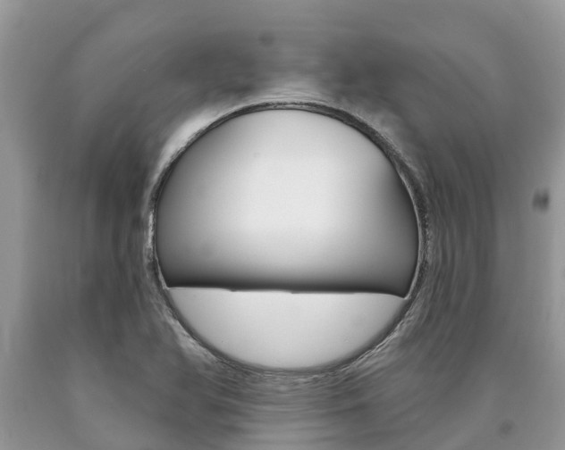 X0000090711366200707200942