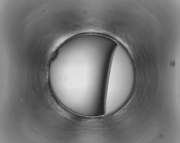 X0000090711367200707200942