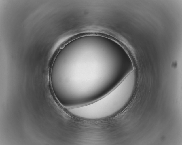 X0000090711368200707200942