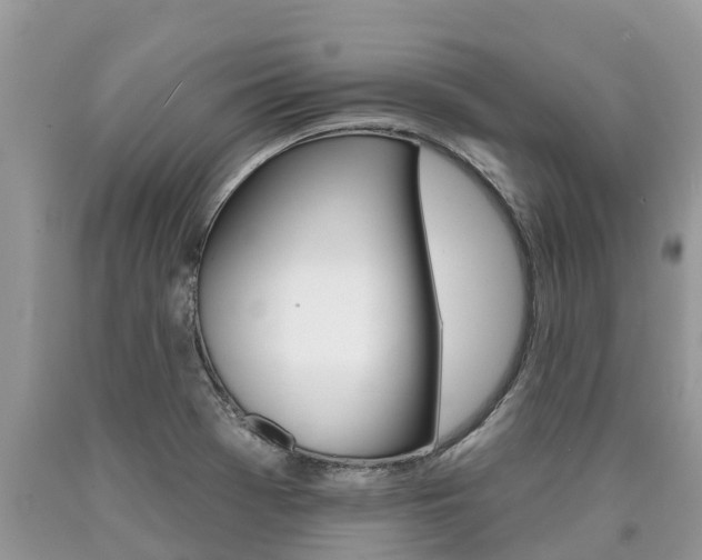 X0000090711369200707200942
