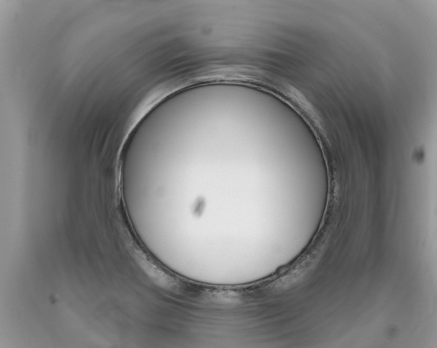 X0000090711370200707200942