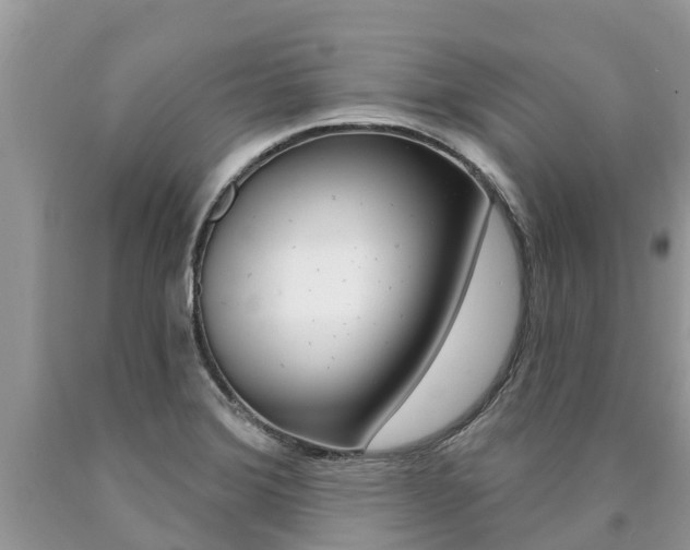 X0000090711372200707200942