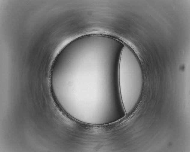 X0000090711375200707200942