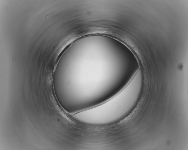X0000090711377200707200942