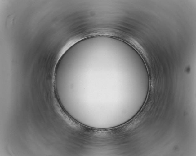X0000090711378200707200942