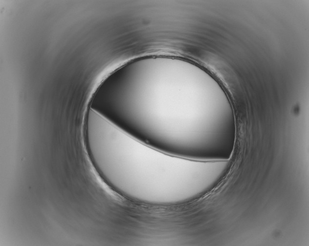 X0000090711379200707200942