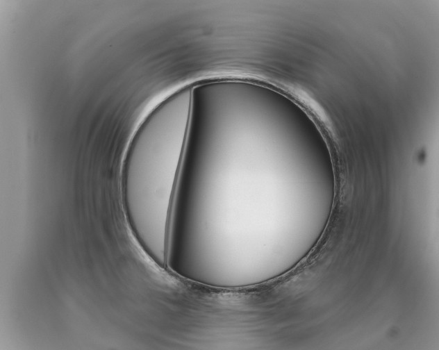 X0000090711380200707200942
