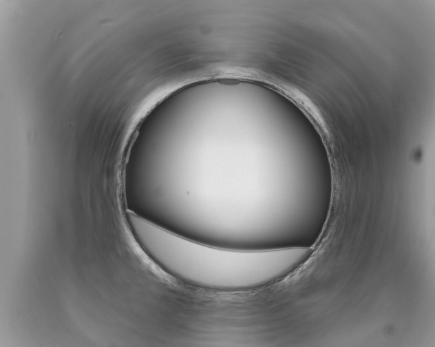 X0000090711381200707200942