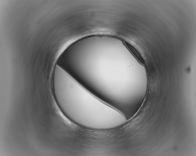 X0000090711383200707200942