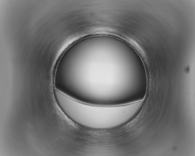 X0000090711384200707200942