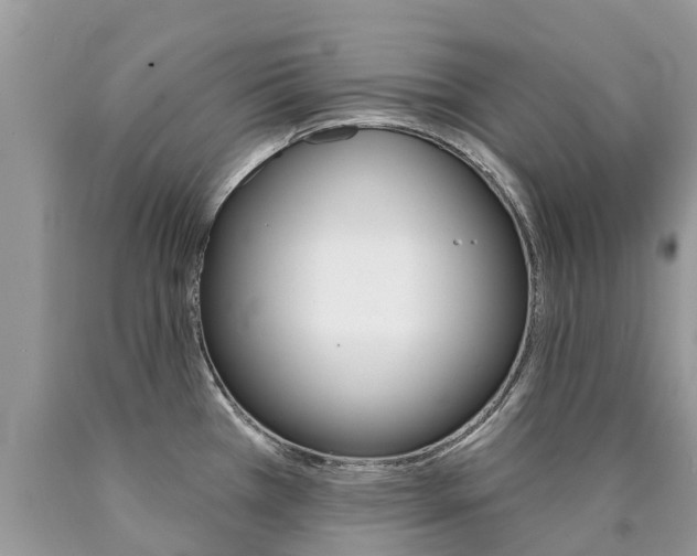 X0000090711385200707200942